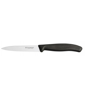 Victorinox 6.7733 Boite de 20 Couteau office, lame crantée 10 cm inox, pointe milieu, manche polypropylène noir